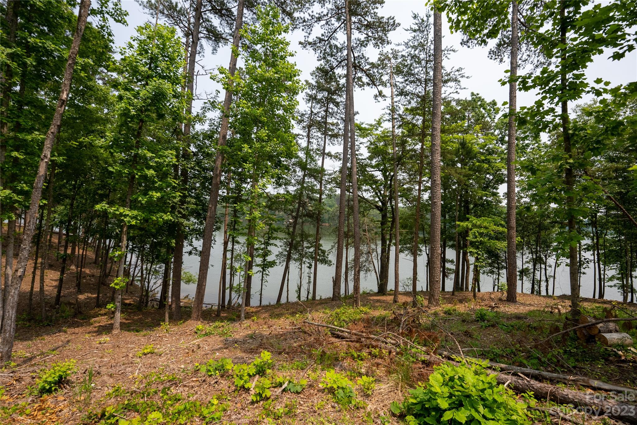 Lakeside Reserve - Land