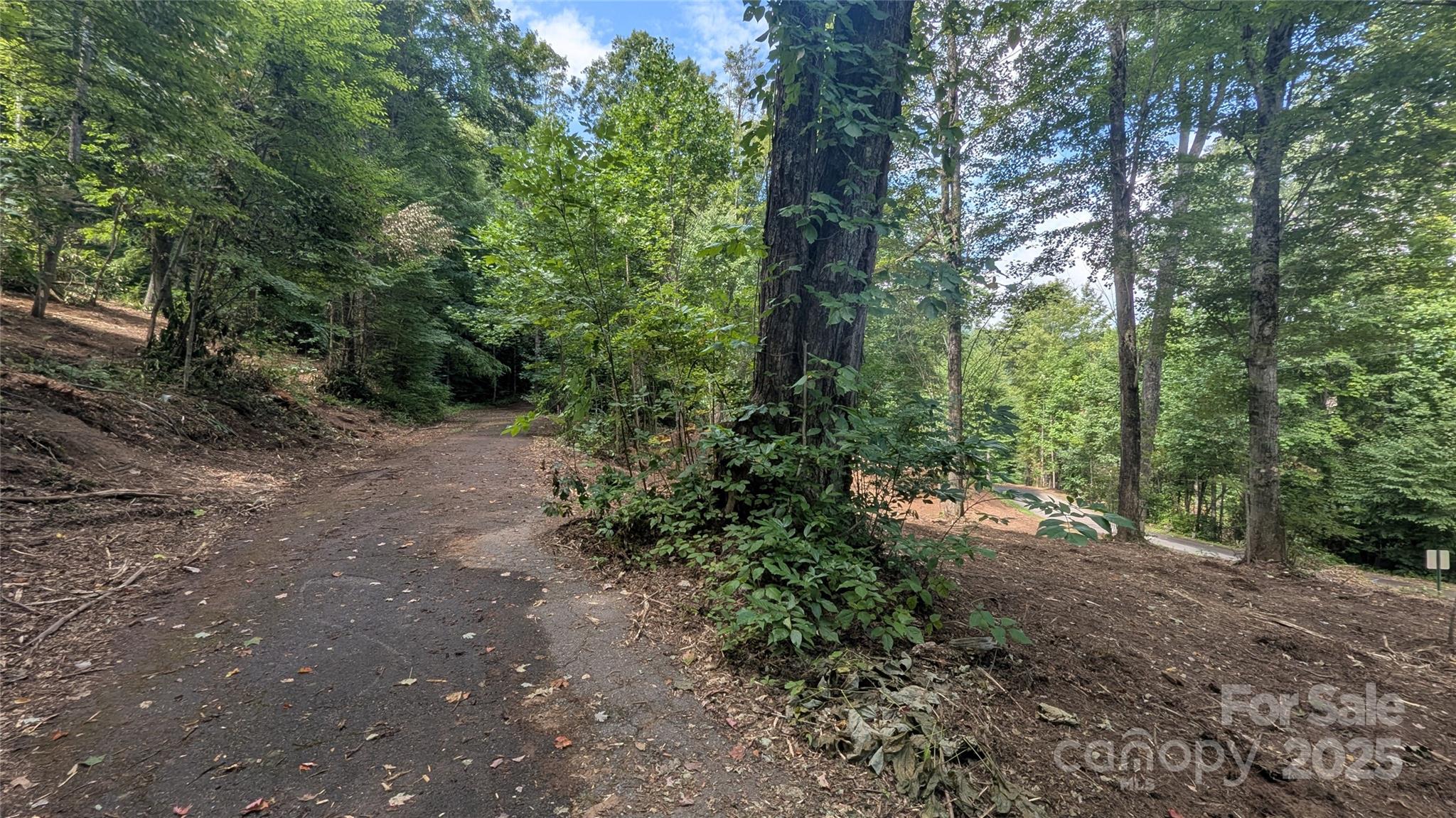 00 Chestnut Walk Drive 1