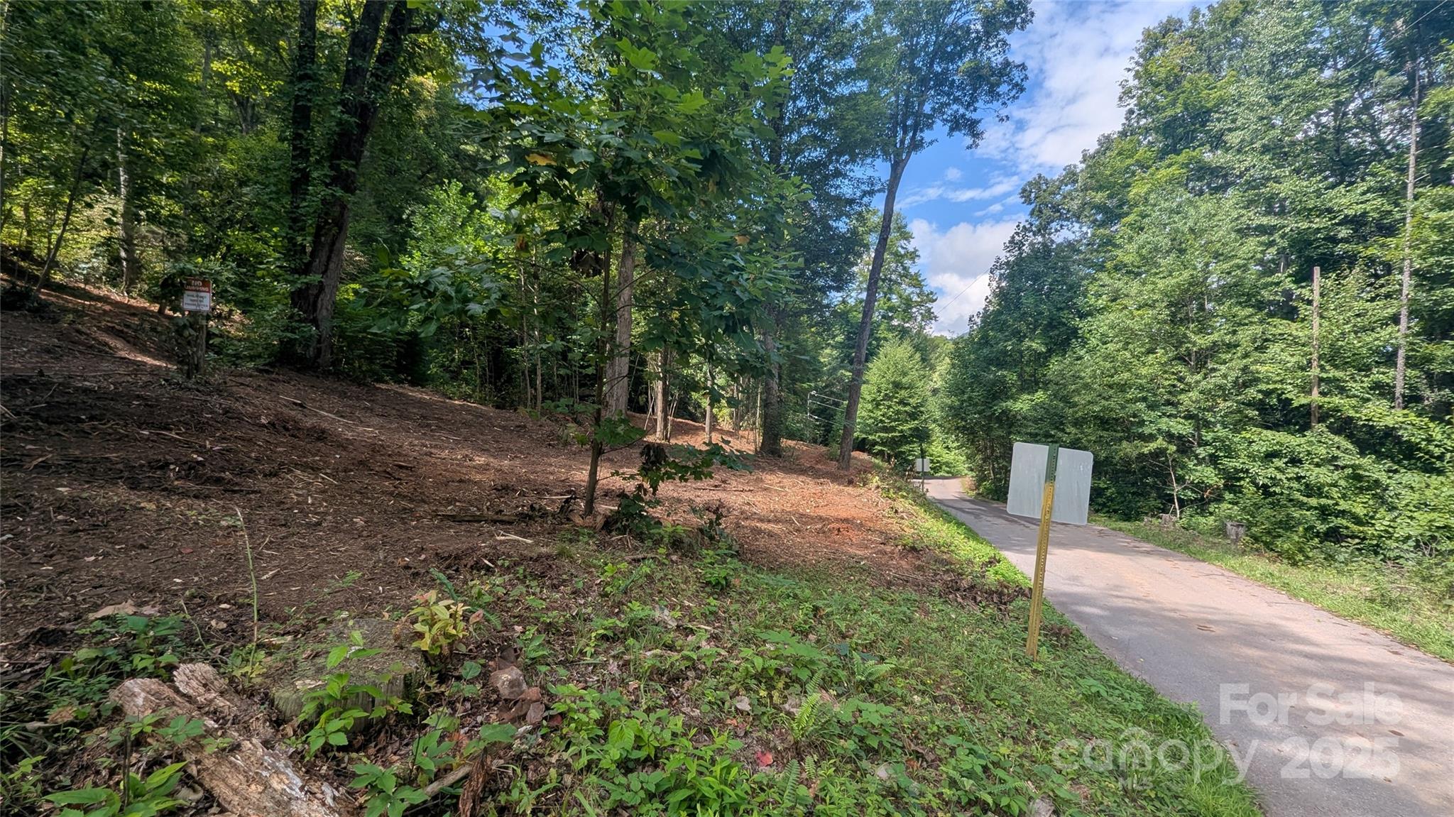 00 Chestnut Walk Drive 1