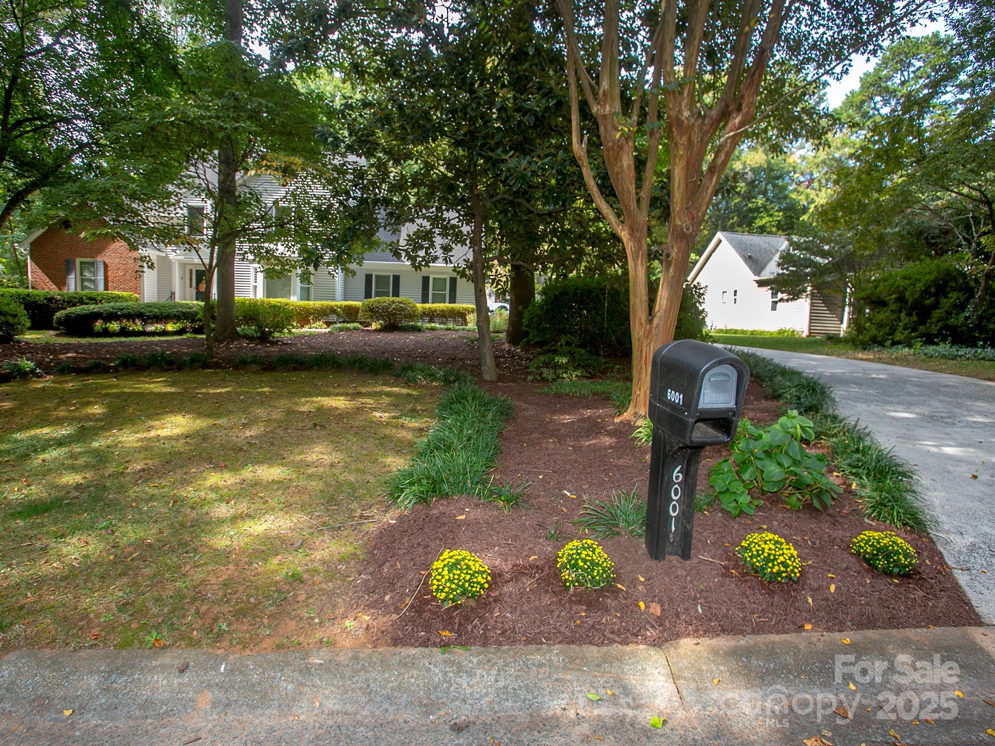 6001 Gold Wagon Lane
