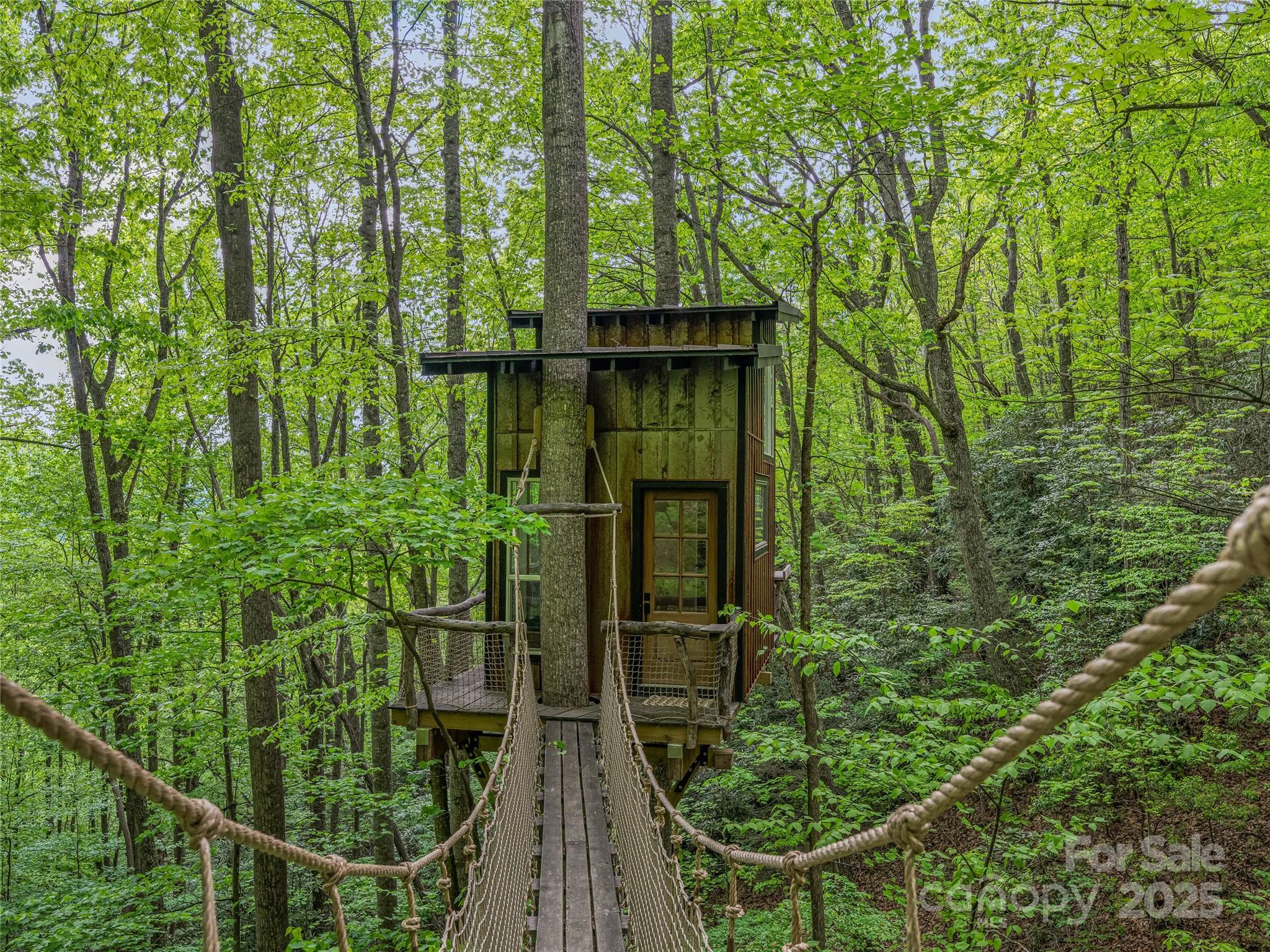59 Pisgah Mountain Trail