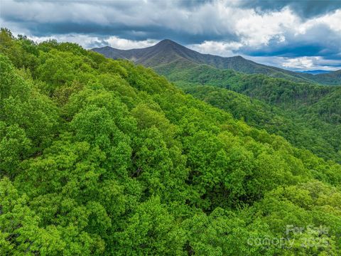 59 Pisgah Mountain Trail Candler NC 28715