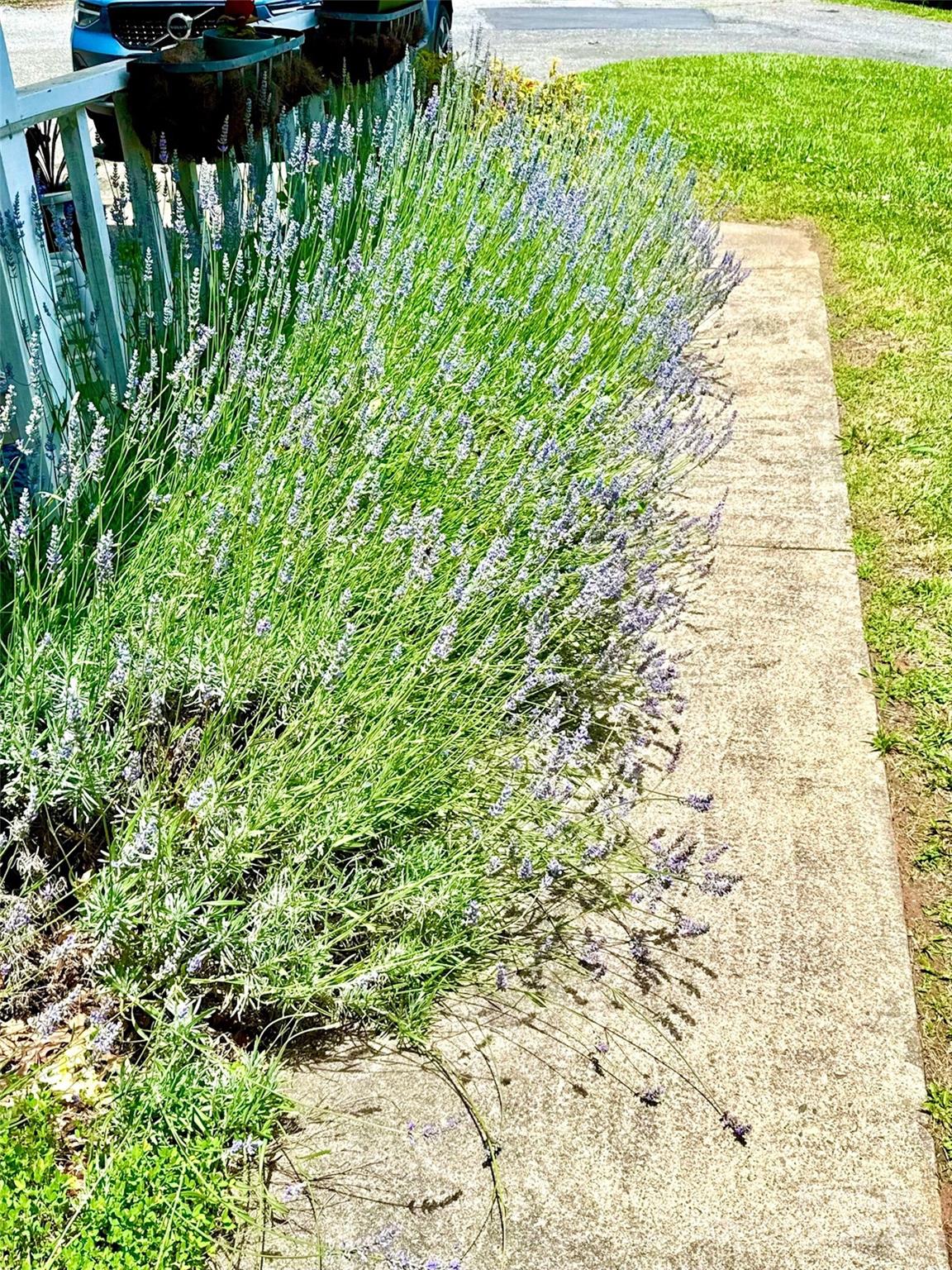 Haw Creek Heights - Residential