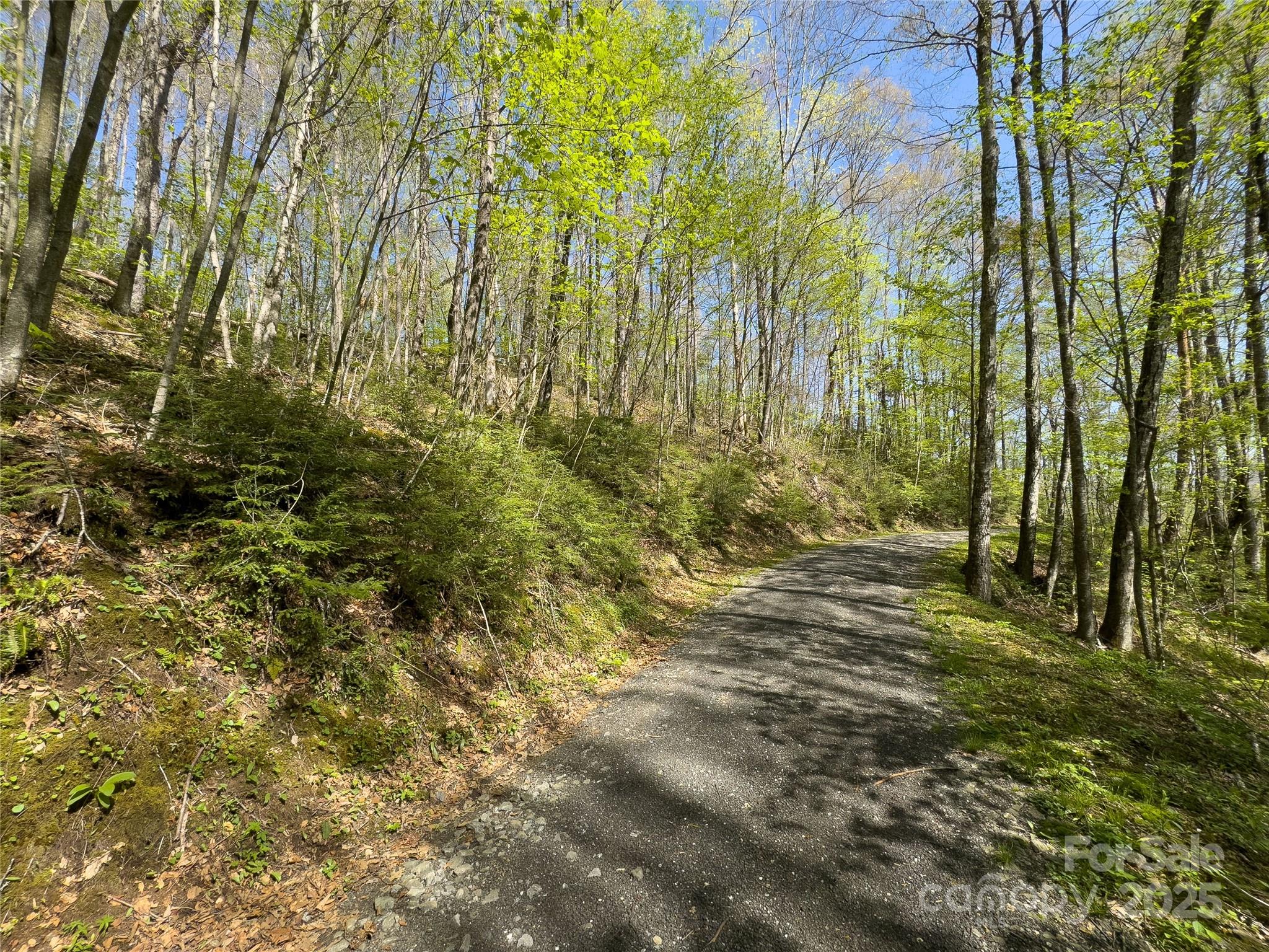 Lot 64 Big Springs Trail 64