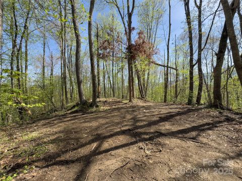 Lot 64 Big Springs Trail 64 Qualla NC 28719