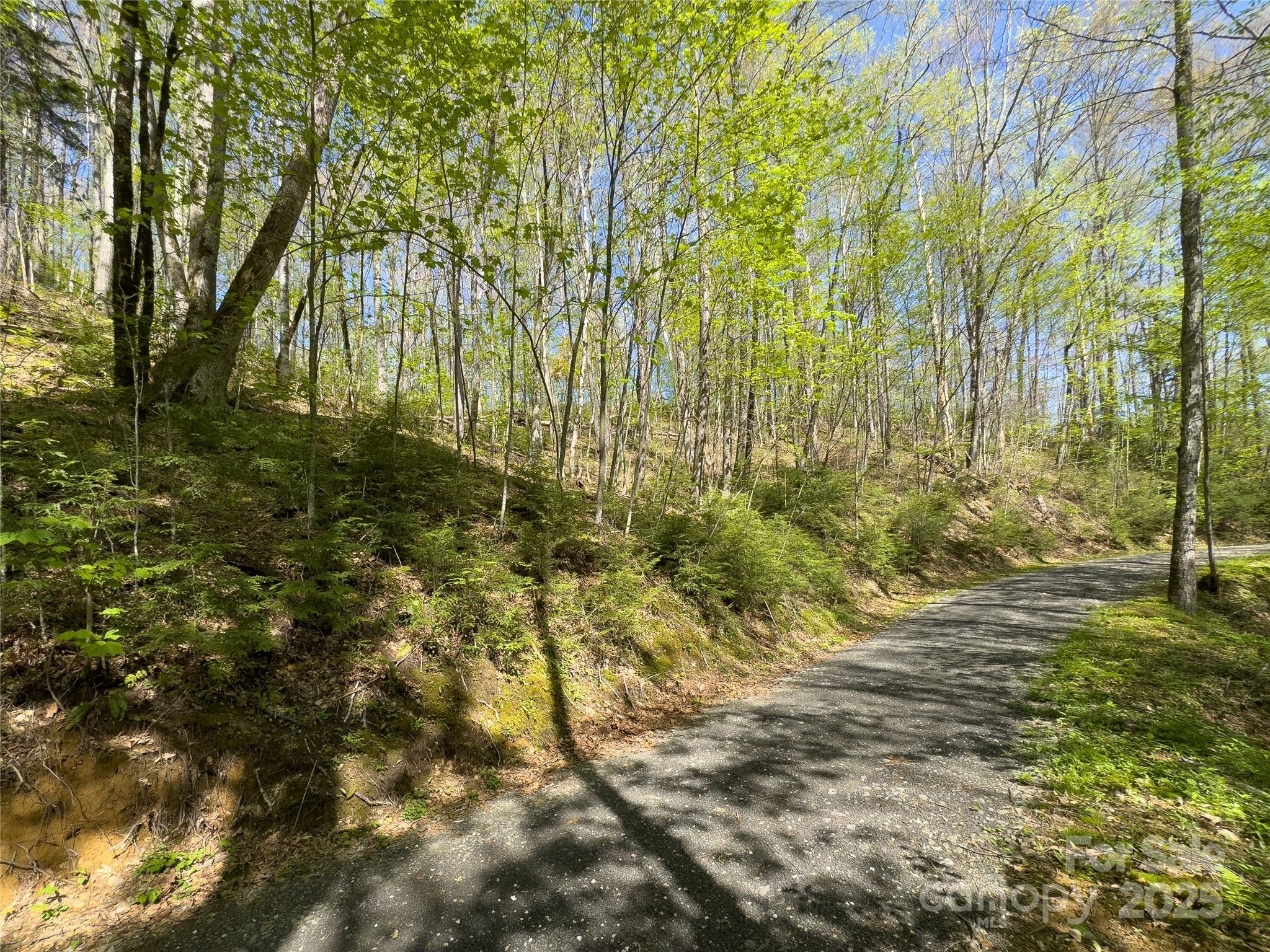 Lot 64 Big Springs Trail 64