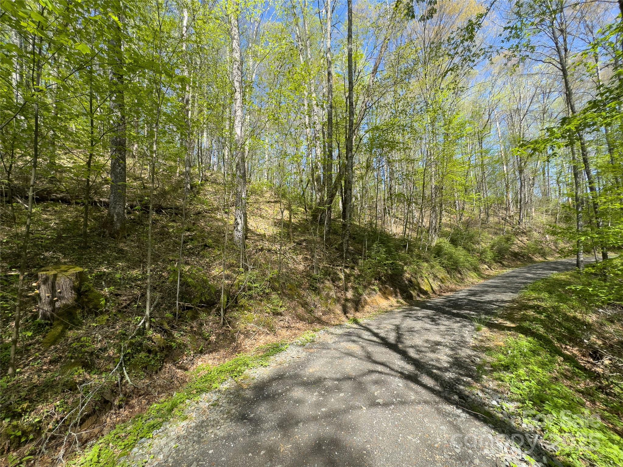 Lot 64 Big Springs Trail 64
