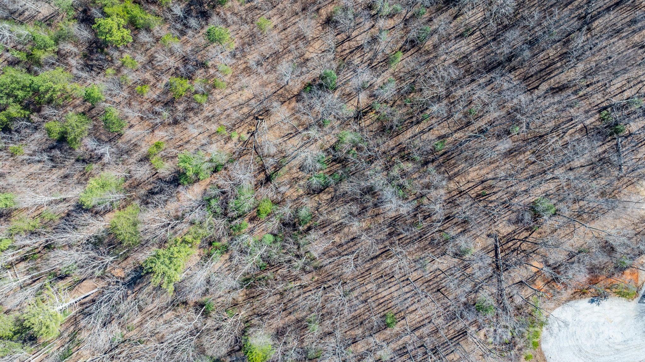 Blackberry Creek - Land