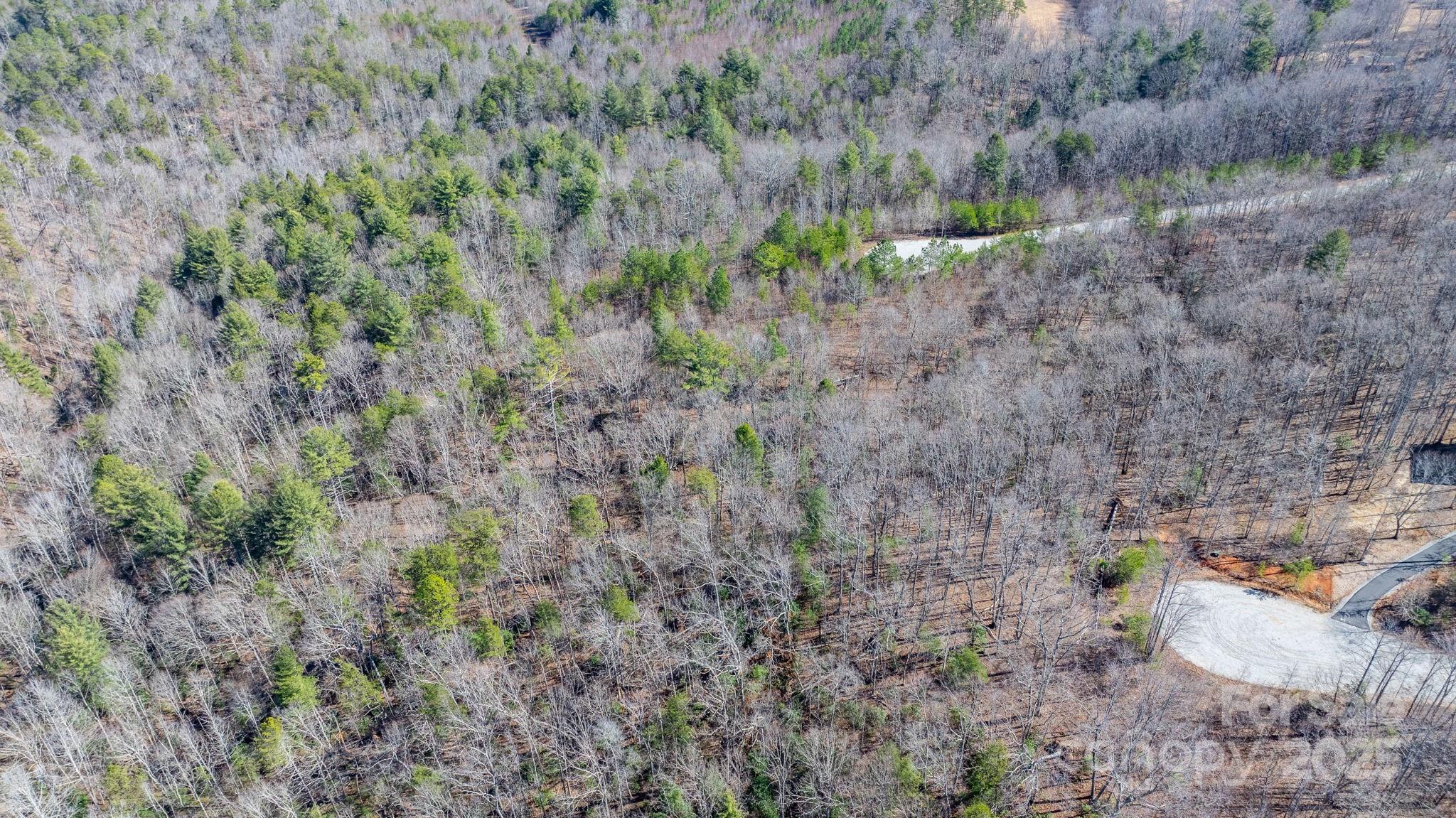 Blackberry Creek - Land