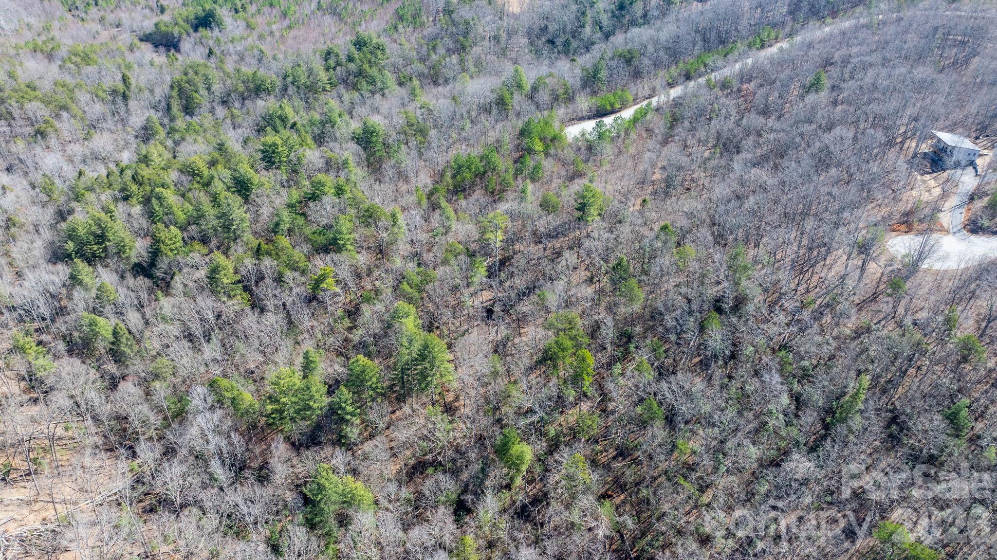 Blackberry Creek - Land