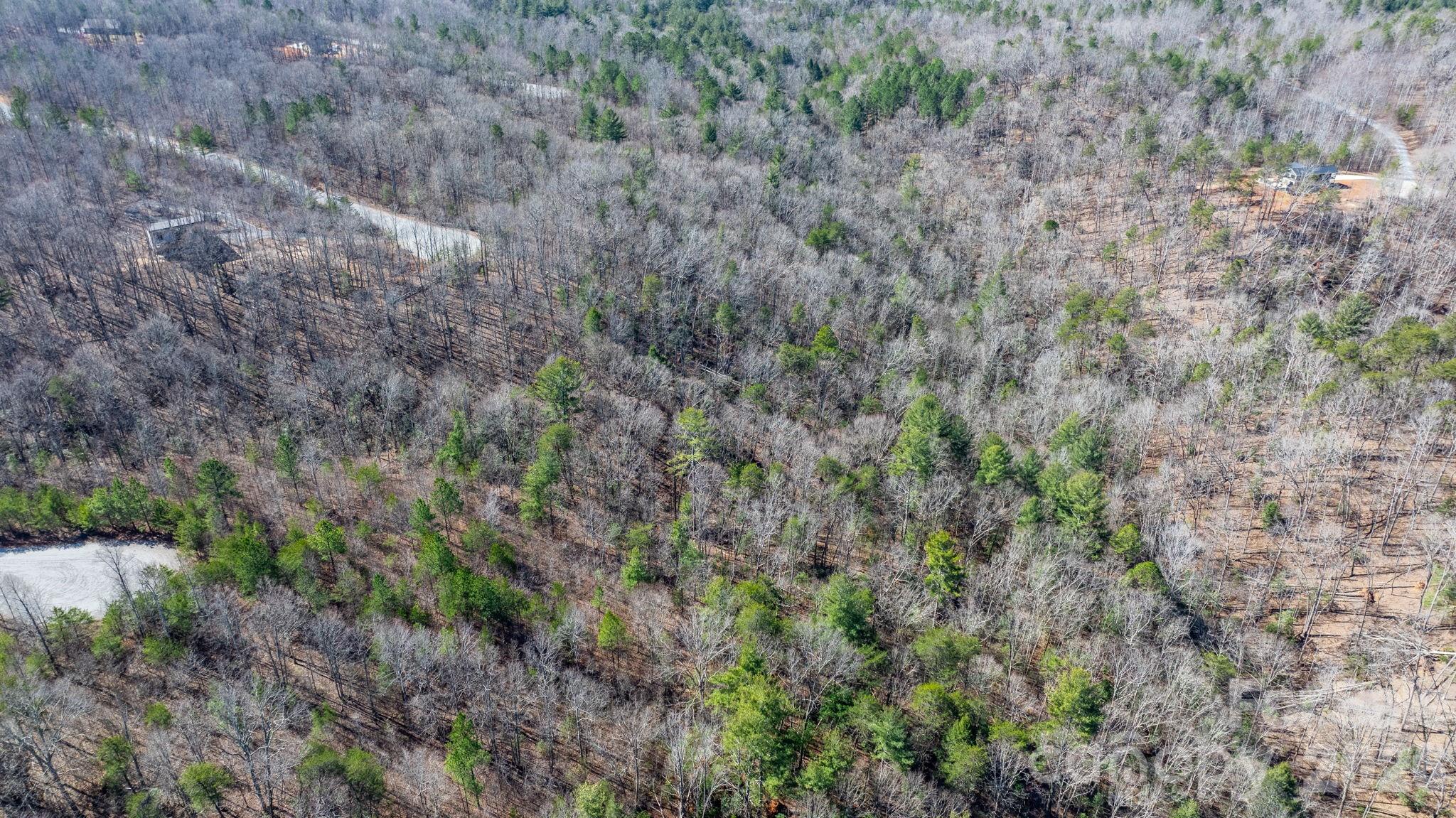 Blackberry Creek - Land