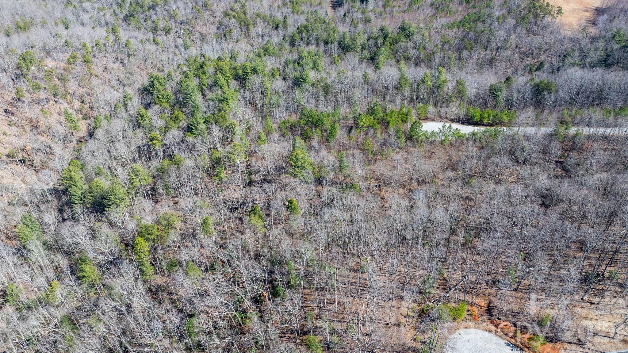 Blackberry Creek - Land