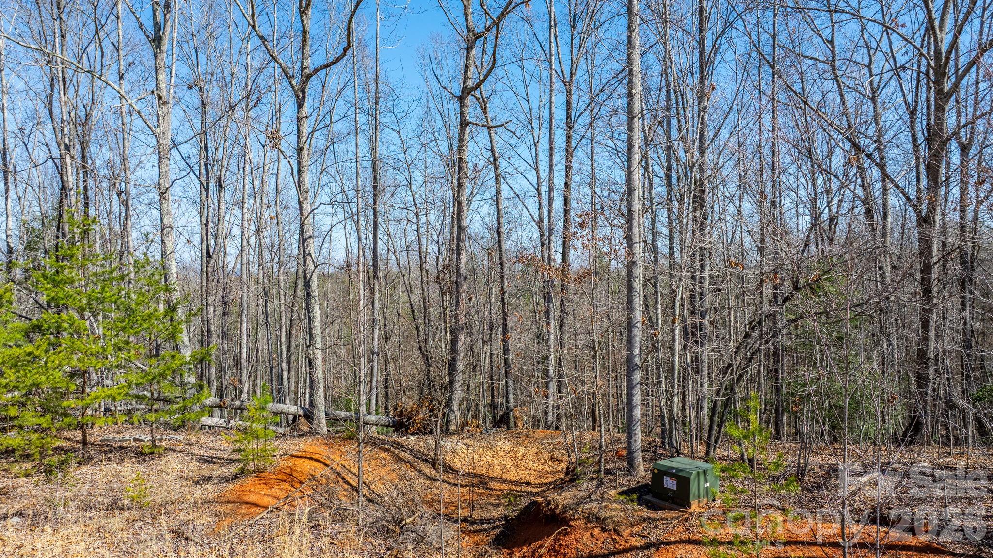 Blackberry Creek - Land