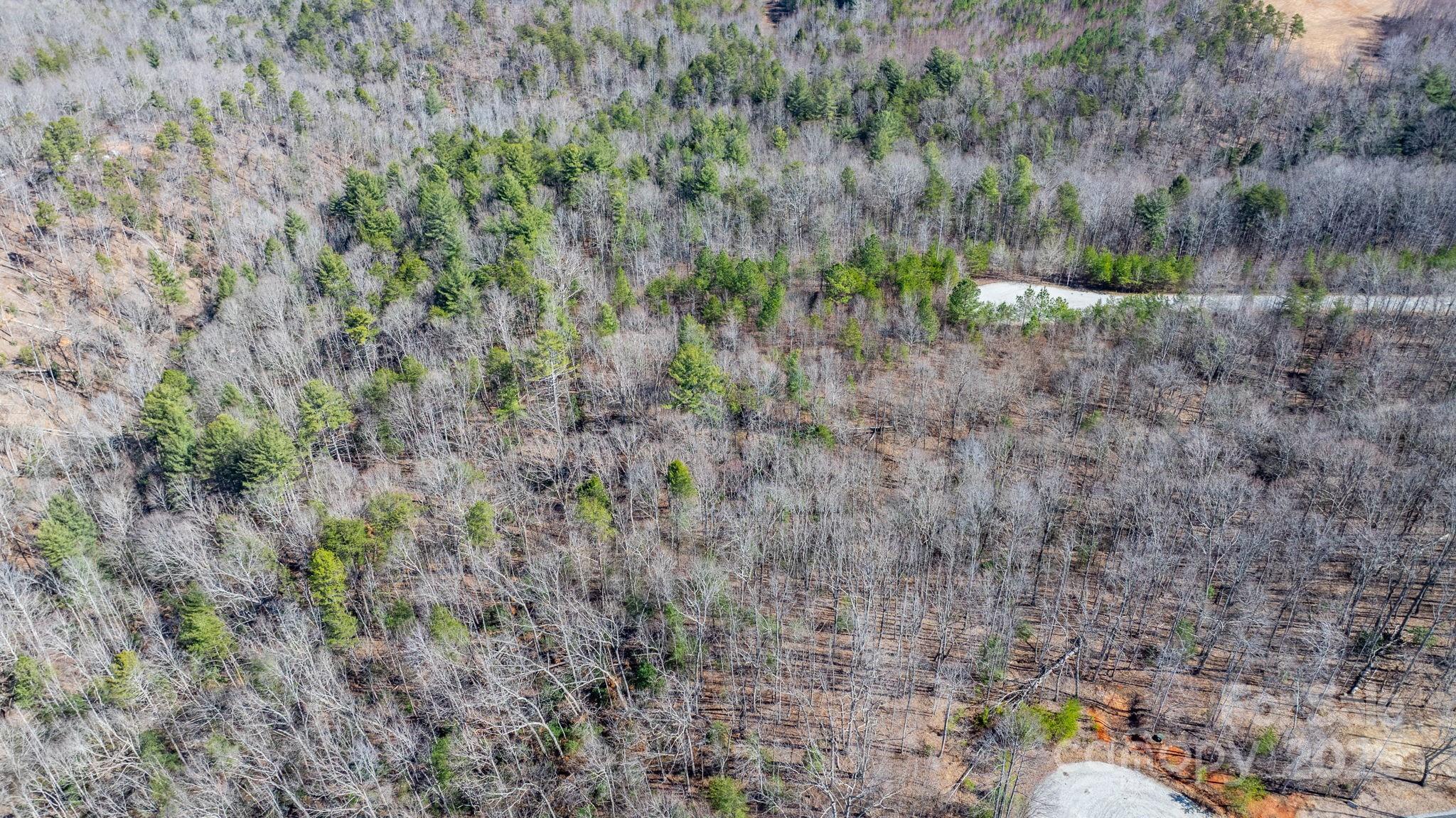 Blackberry Creek - Land