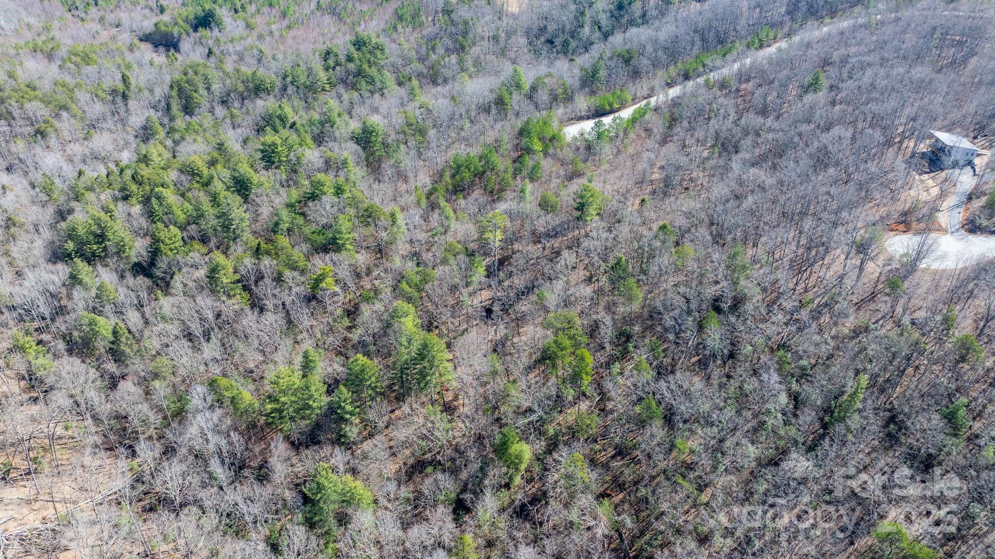 Blackberry Creek - Land