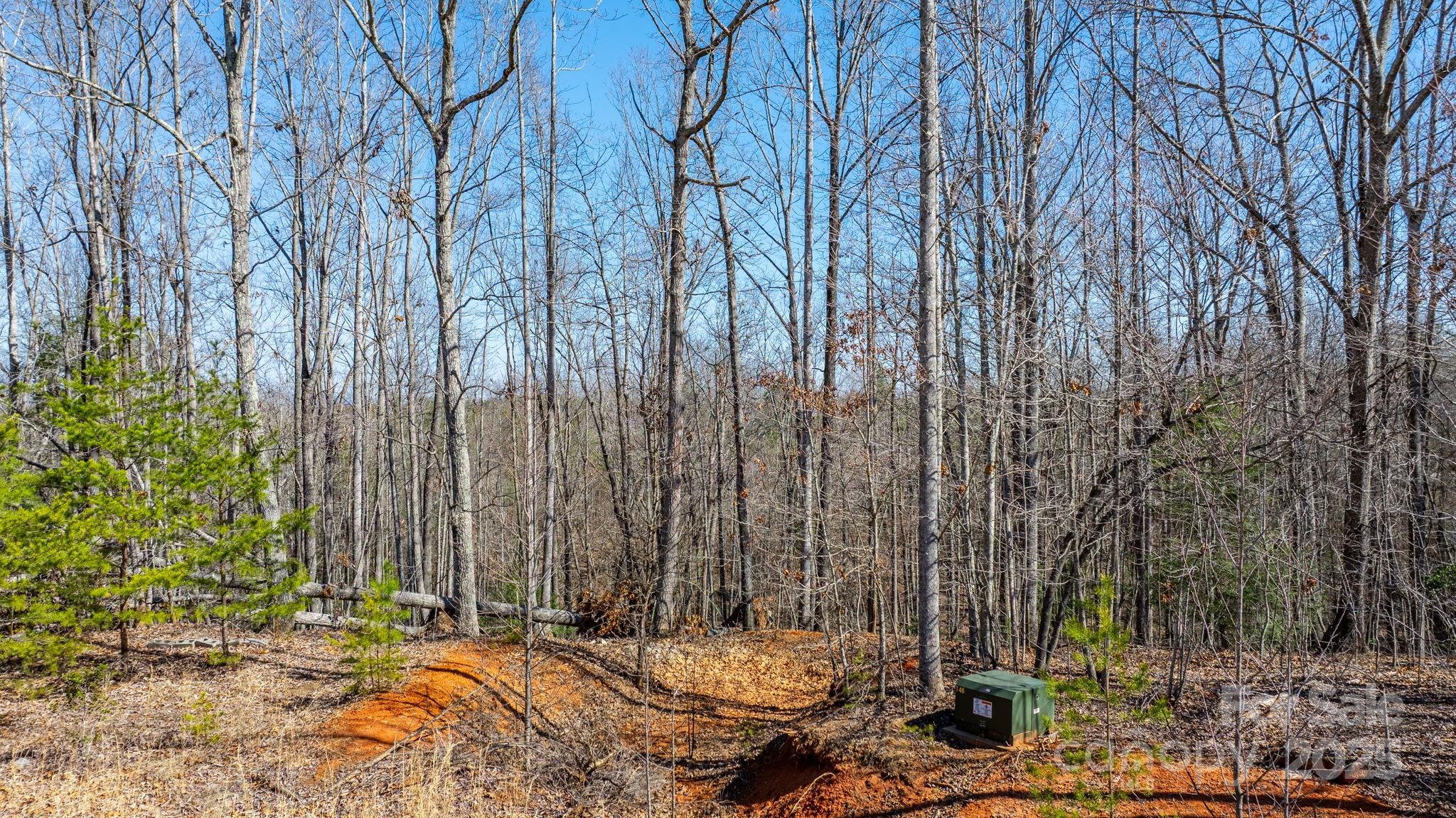 Blackberry Creek - Land