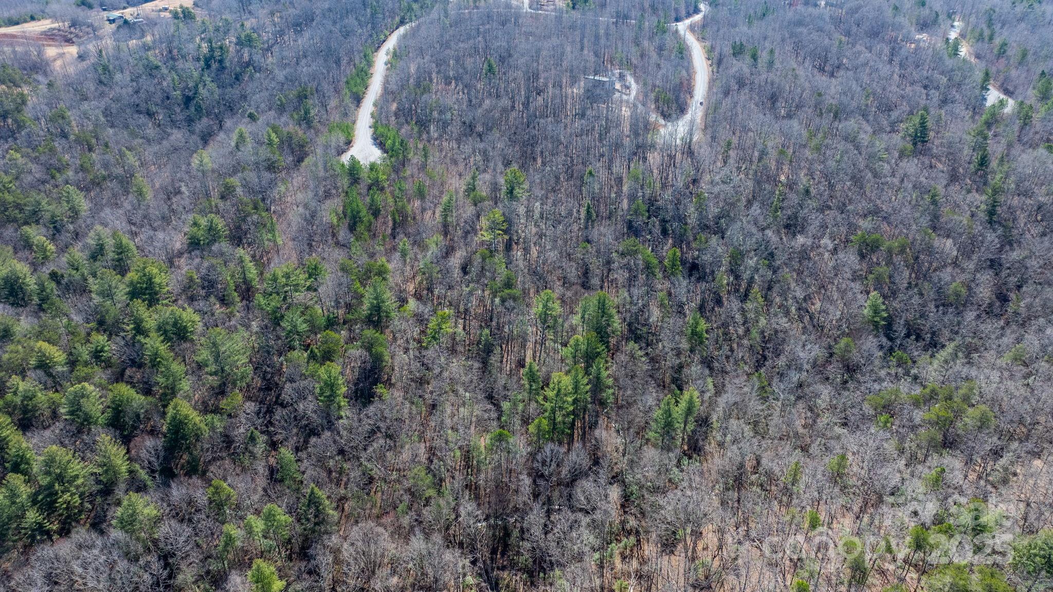 Blackberry Creek - Land