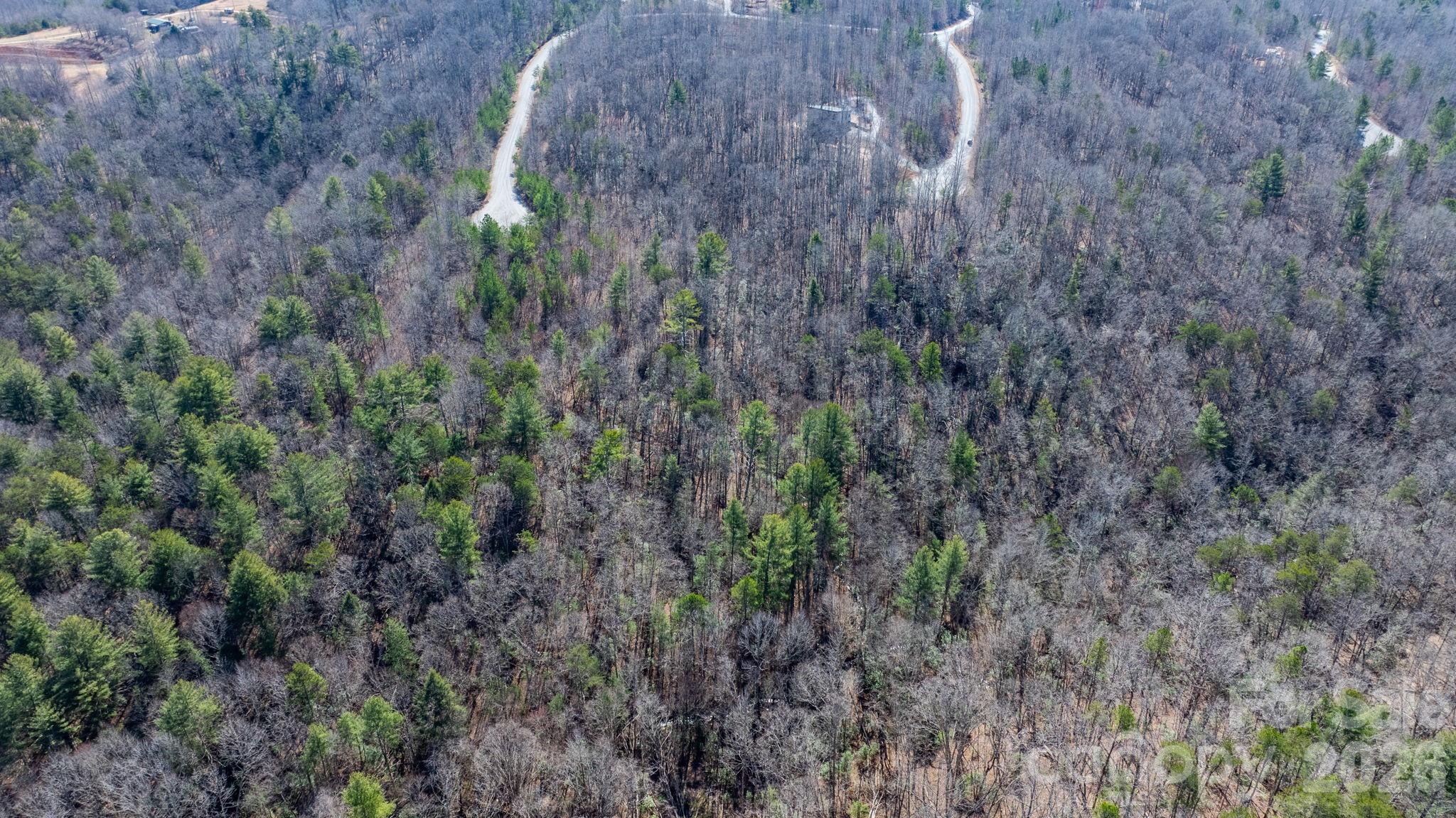 Blackberry Creek - Land