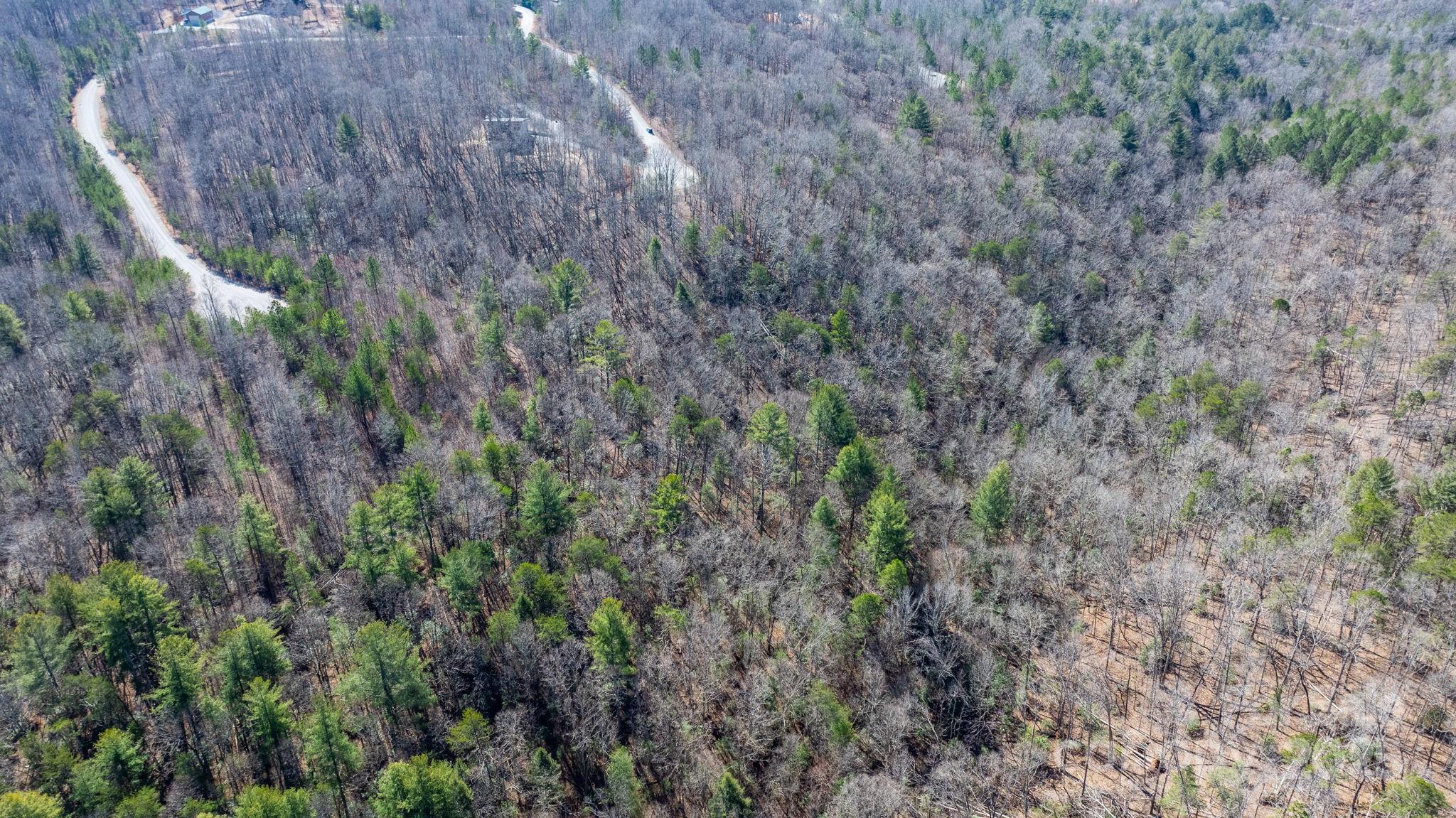 Blackberry Creek - Land