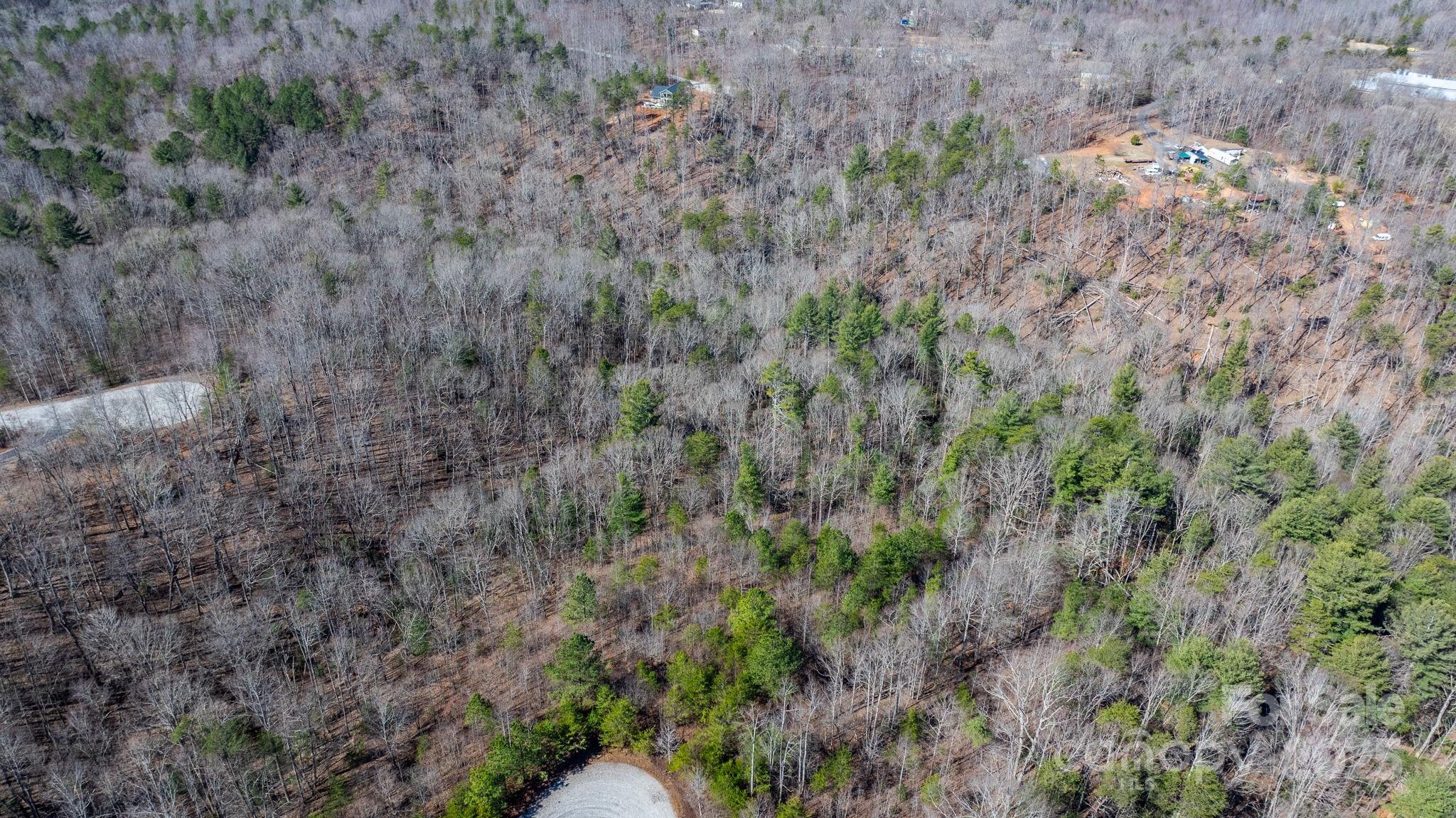 Blackberry Creek - Land