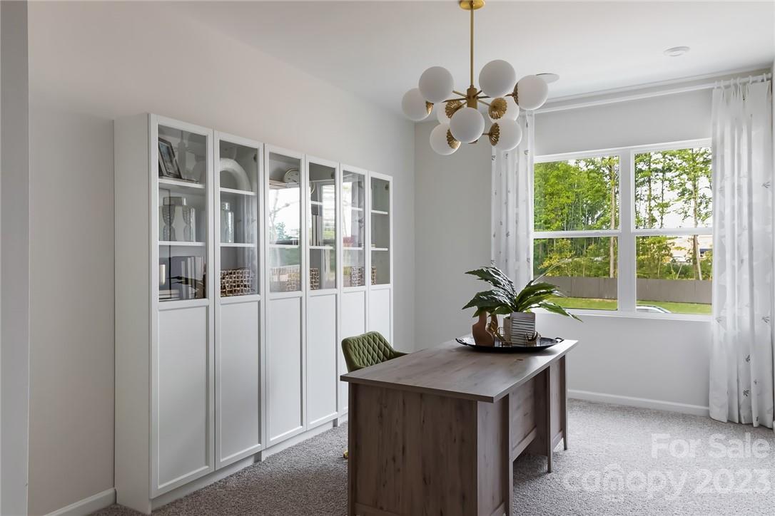 Fifteen 15 Cannon - Residential