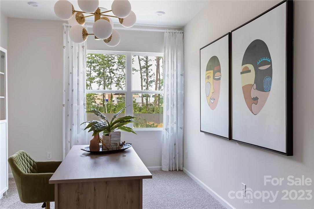 Fifteen 15 Cannon - Residential