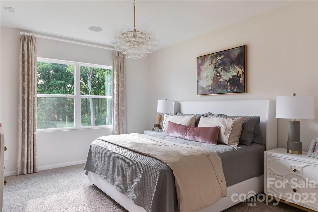 Fifteen 15 Cannon - Residential