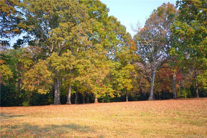 The Traces is an equestrian community on the FETA trail system. This listing combines lots 2 and 3. They could be divided and sold separately. There is a lovely long range mountain view and beautiful horses as neighbors! There is a separate pasture per lot available for your horse to use. This neighborhood is located in Landrum, SC and is close to Tryon and Columbus, NC, FENCE, TIEC, shopping, schools, recreation areas, restaurants, doctors and dentists and much more!