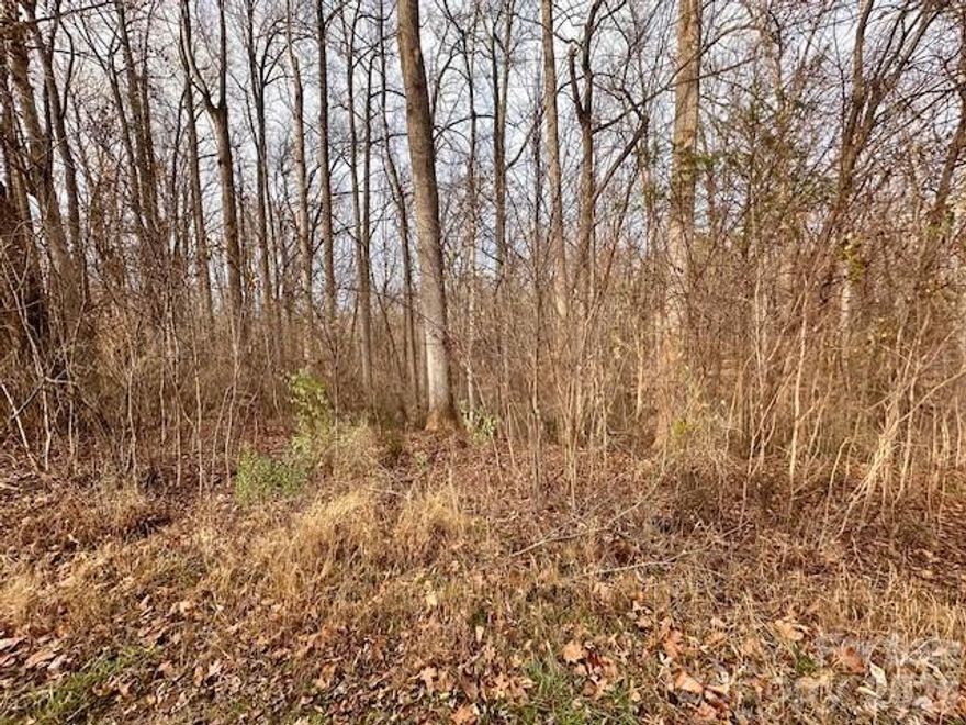 Vacant lot located at 13210 Pine Harbor Road in Charlotte offering a fantastic opportunity to build your custom home or investment property. Just across the street from the Copperhead Landing access road, this location is perfect for boaters, kayakers, and outdoor enthusiasts looking for easy access to the water. Situated in an established area with surrounding homes, the lot provides convenient access to major roads, shopping, dining, and everyday amenities while still offering a peaceful, recreational lifestyle. Ideal for builders or buyers looking to design from the ground up.