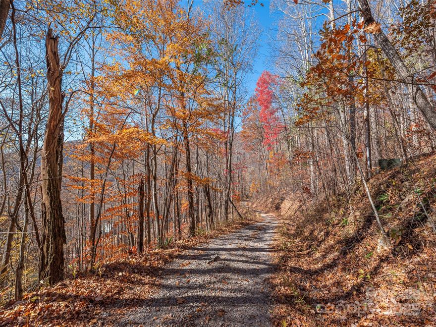 Includes two (2) adjacent residential lots, providing a unique opportunity for a family compound, investment, or building your dream home with extra privacy/space. Established trees covering the land. Perfect for buyers seeking a natural, serene setting.