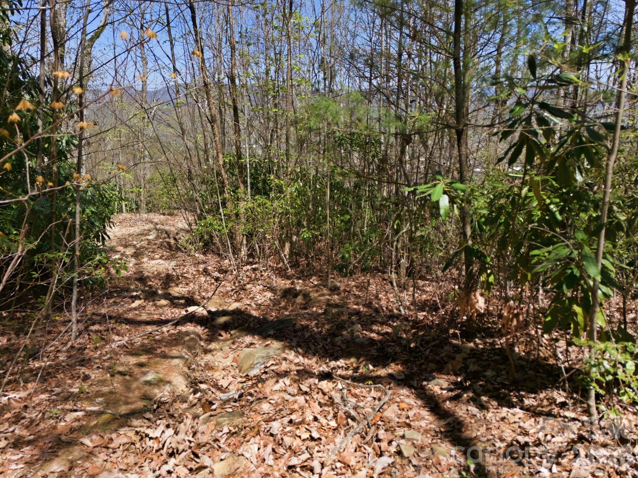 Alpine Mountain - Land