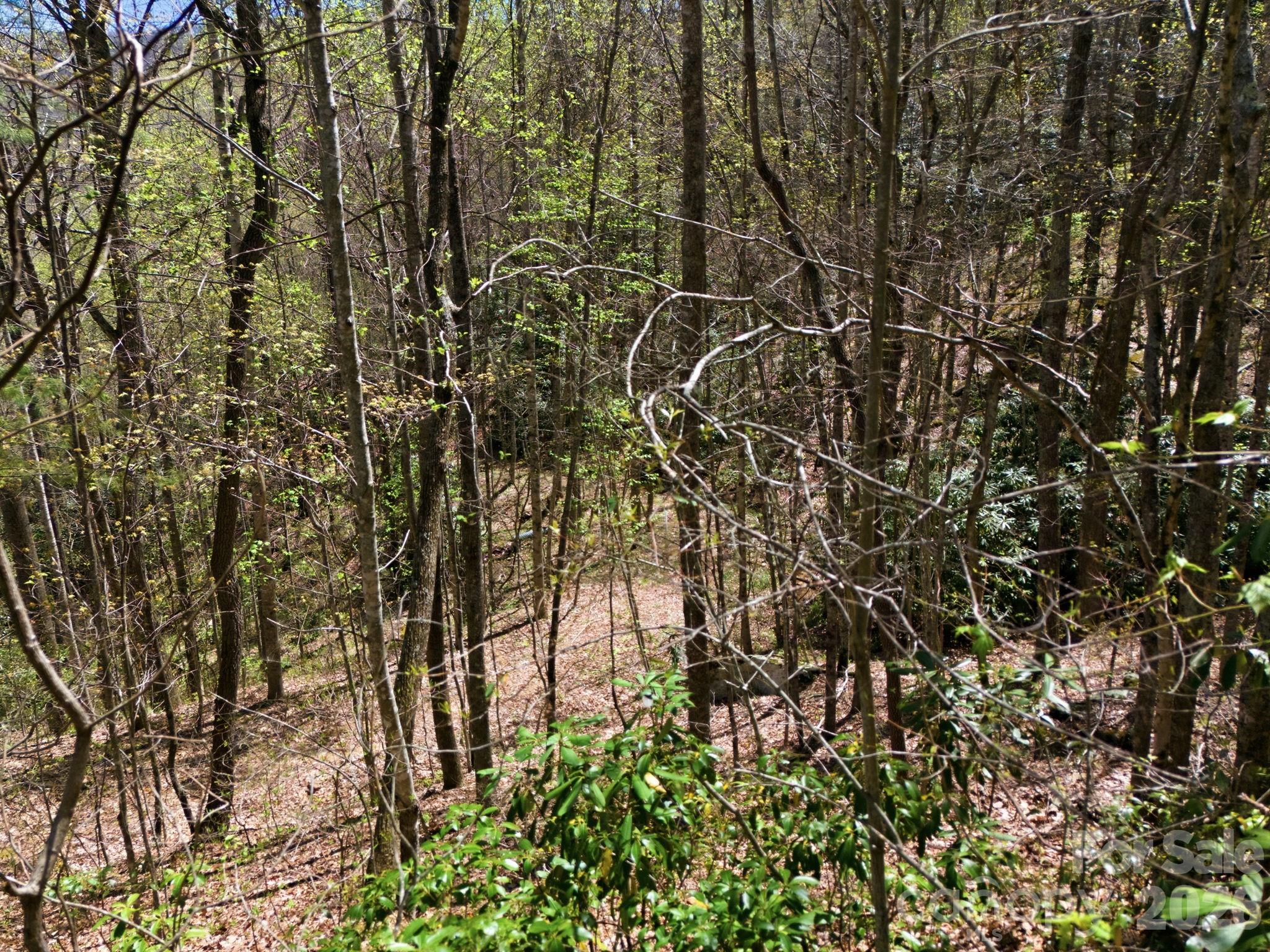 Alpine Mountain - Land