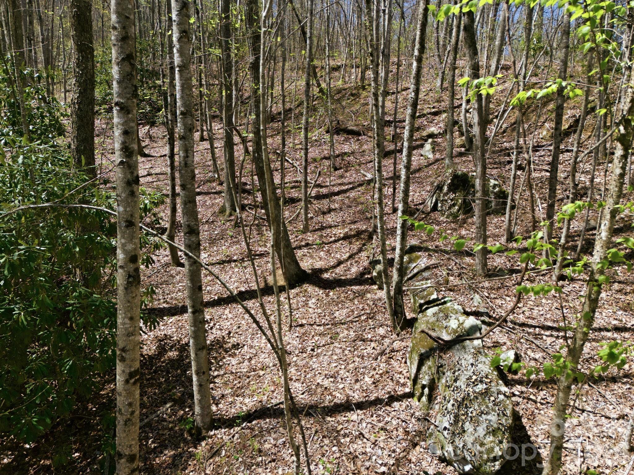 Alpine Mountain - Land