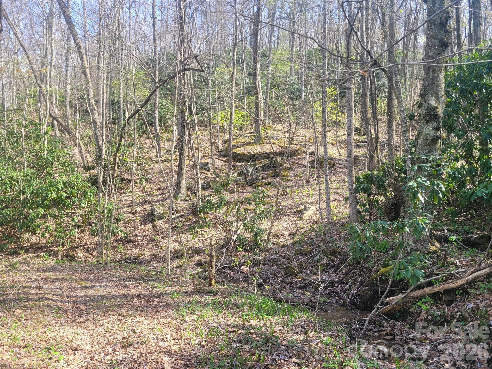 Alpine Mountain - Land