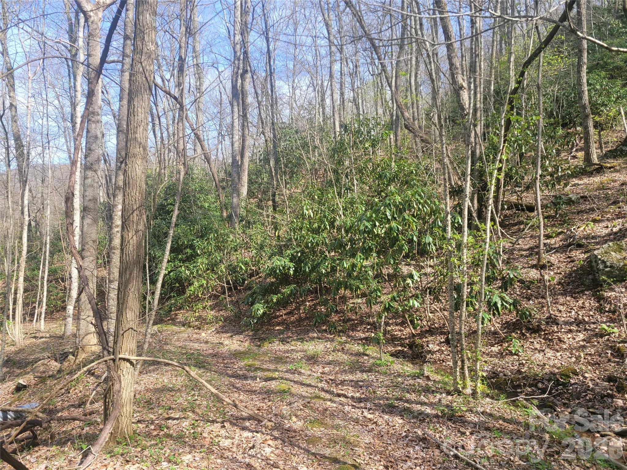 Alpine Mountain - Land