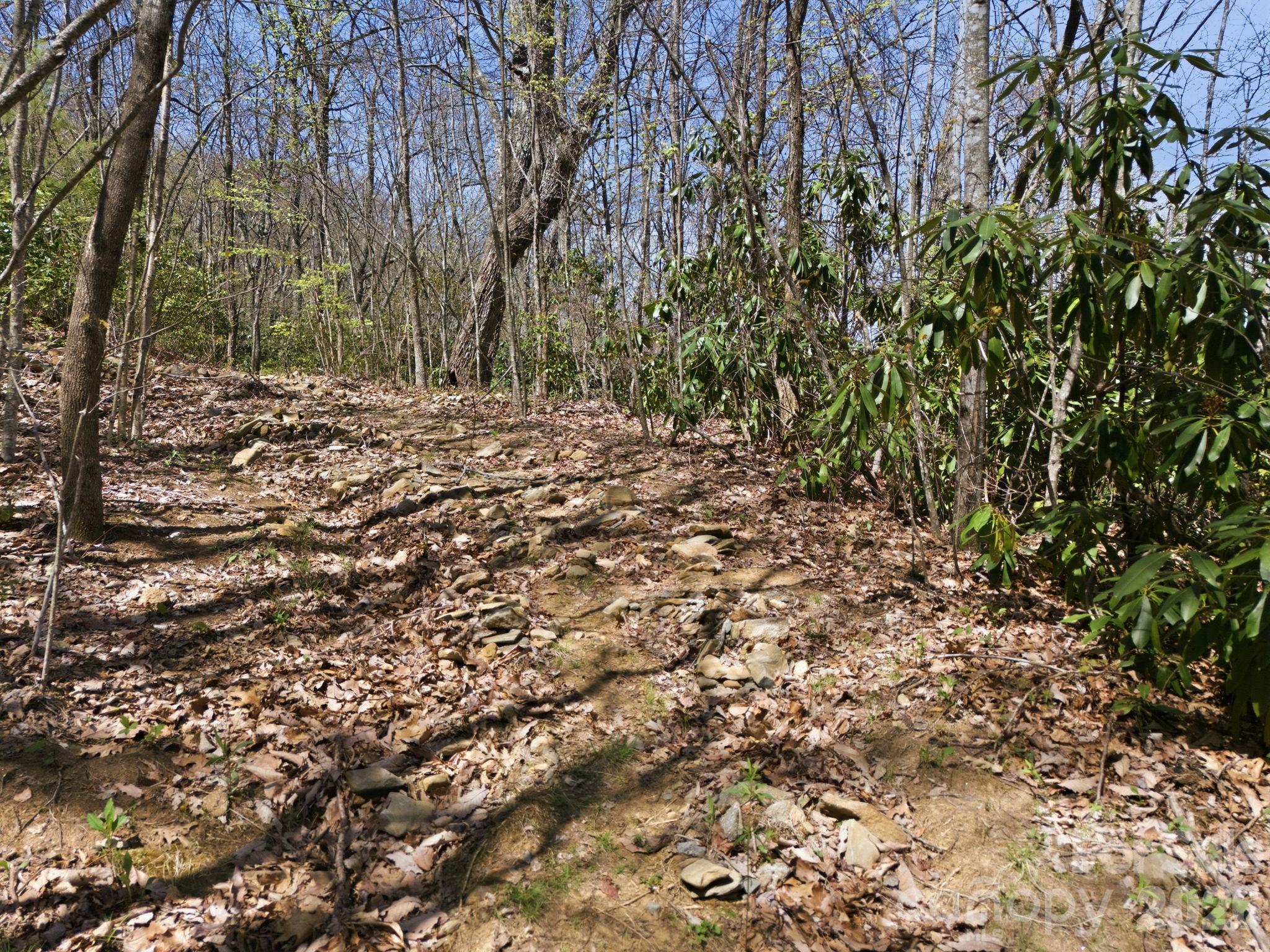 Alpine Mountain - Land