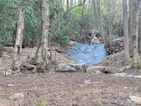 9999 Lytle Cove Road Road Swannanoa NC 28778