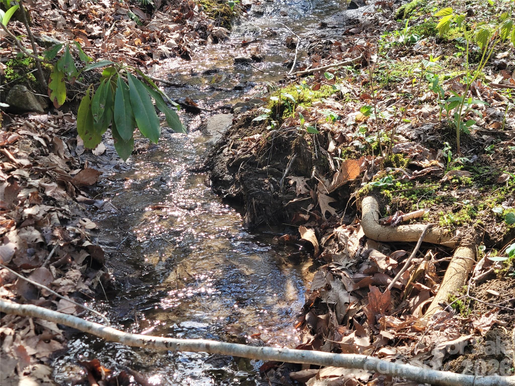 Alpine Mountain - Land