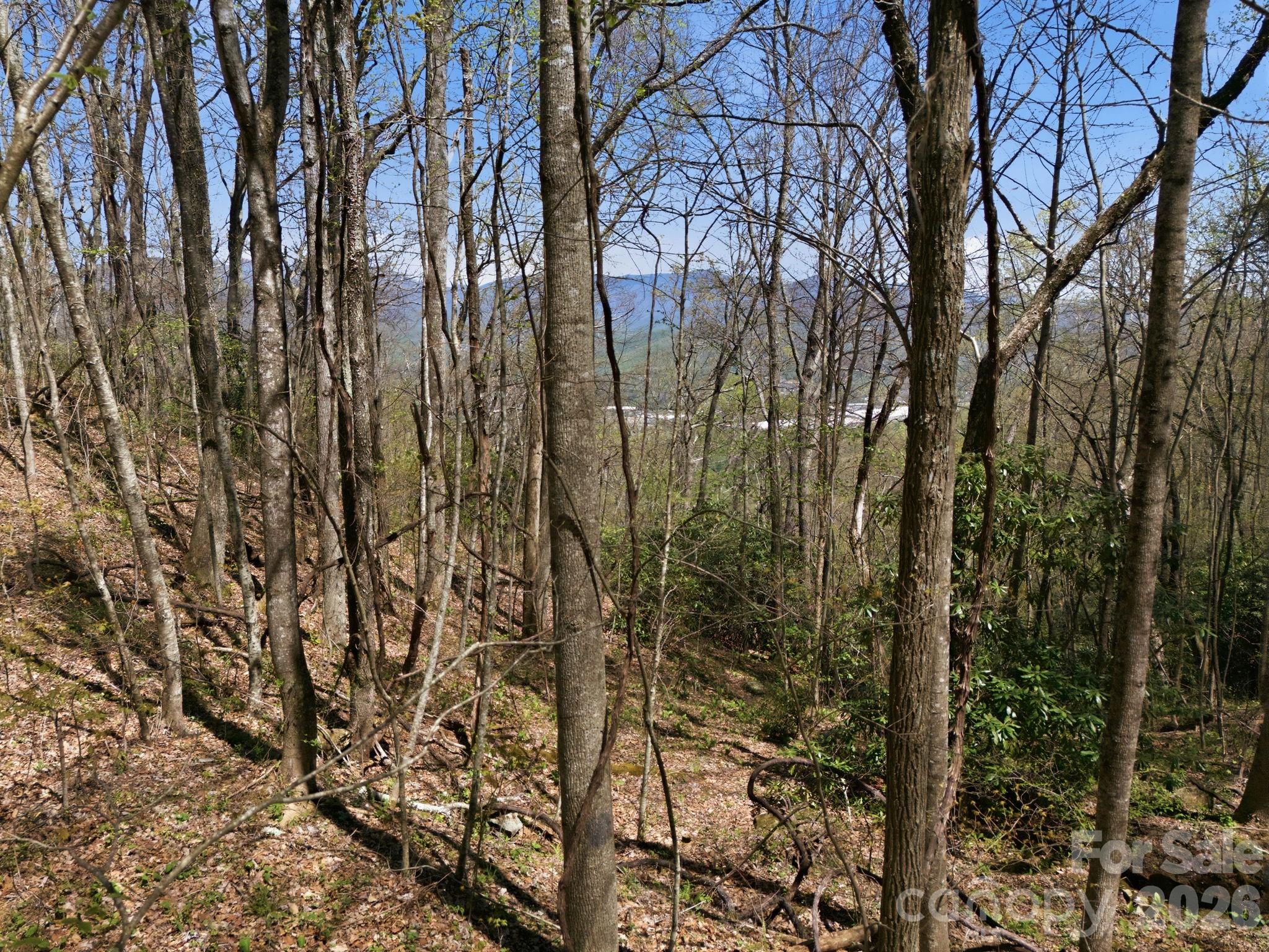 Alpine Mountain - Land