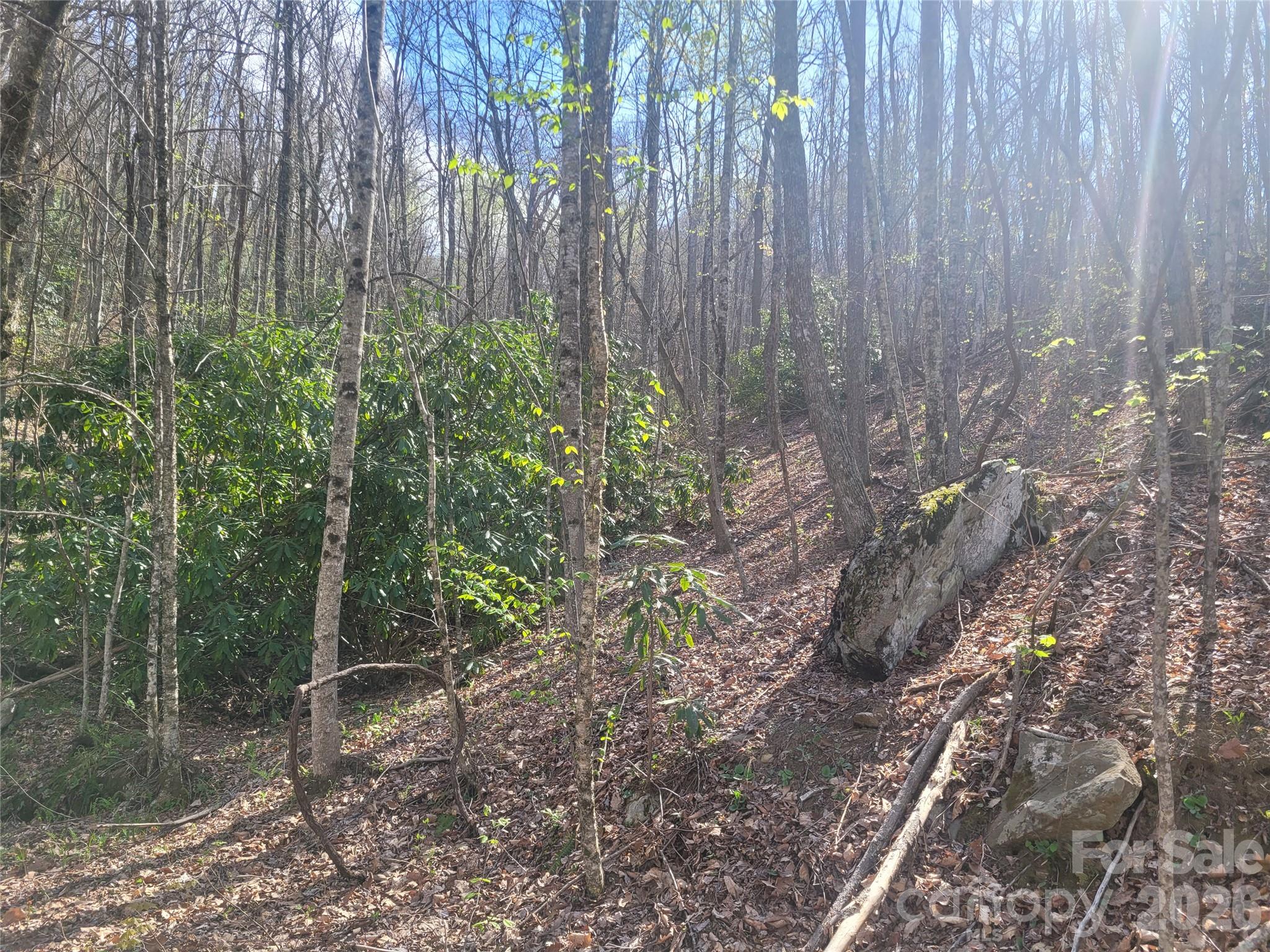 Alpine Mountain - Land