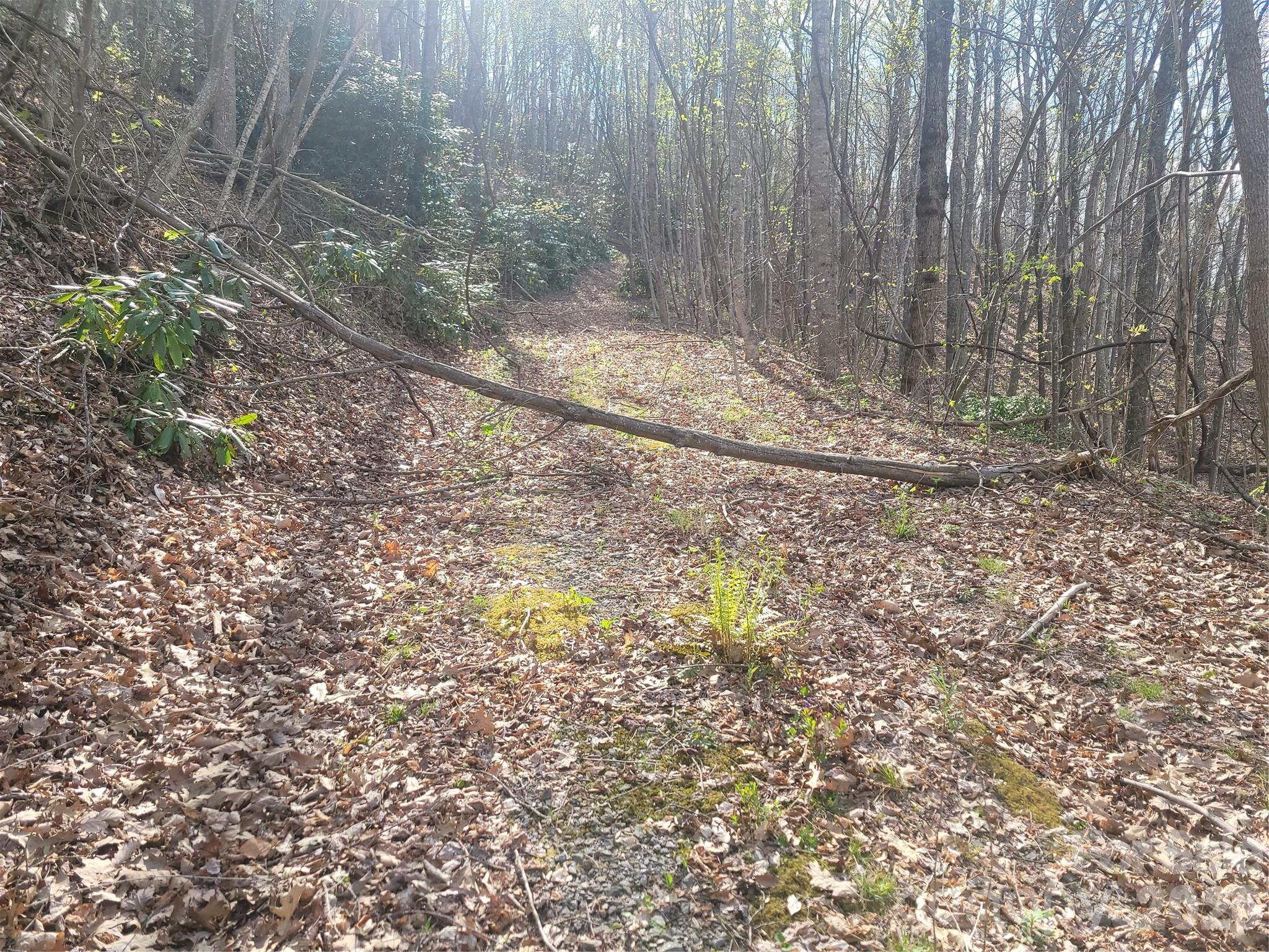 9999 Lytle Cove Road Road