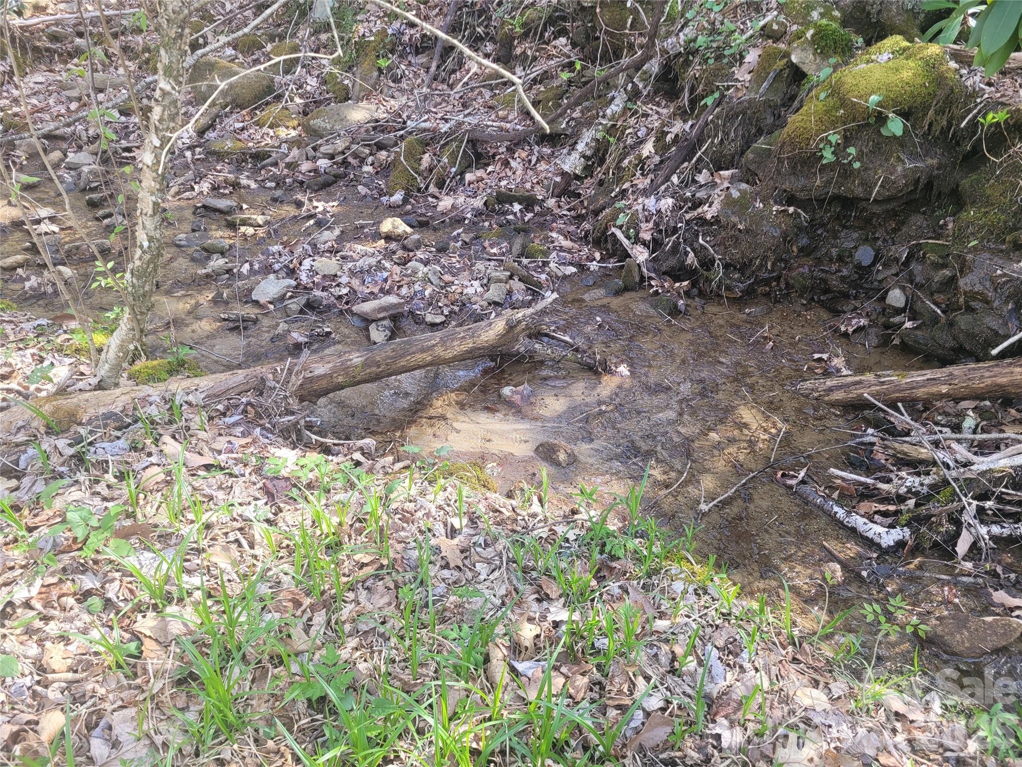 Alpine Mountain - Land