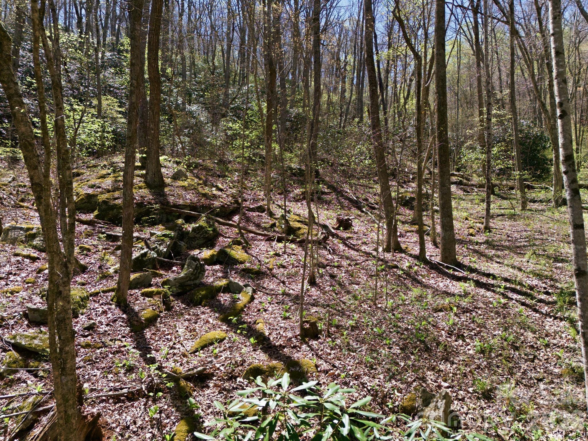 Alpine Mountain - Land