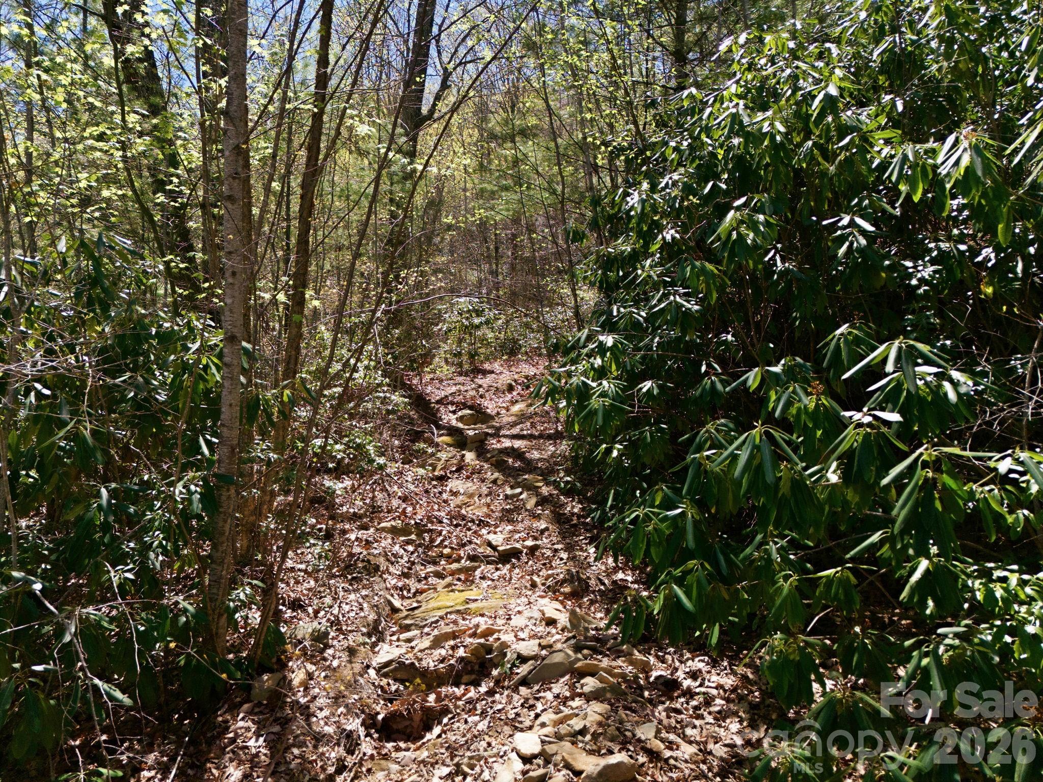 Alpine Mountain - Land