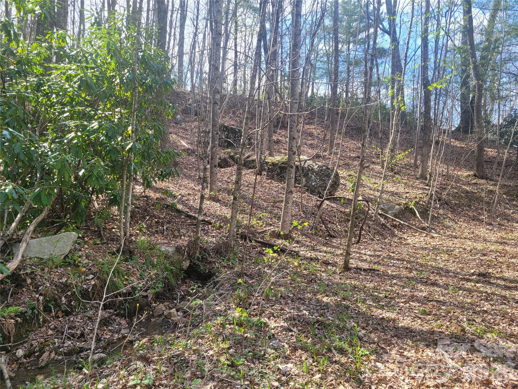 Alpine Mountain - Land