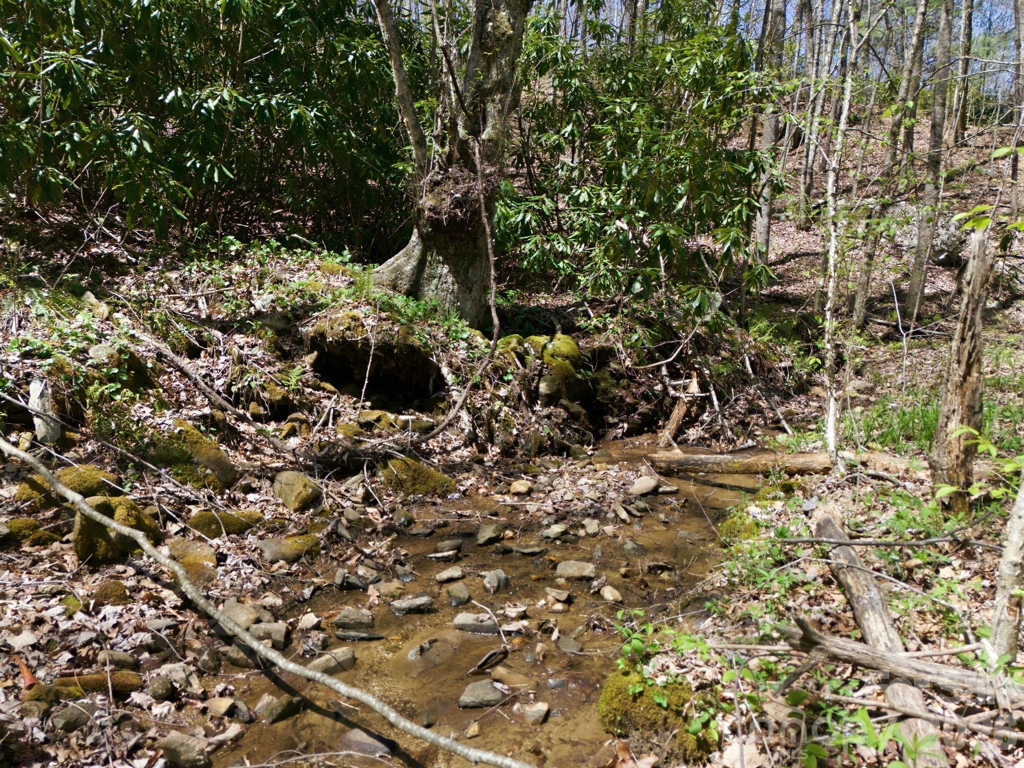 Alpine Mountain - Land