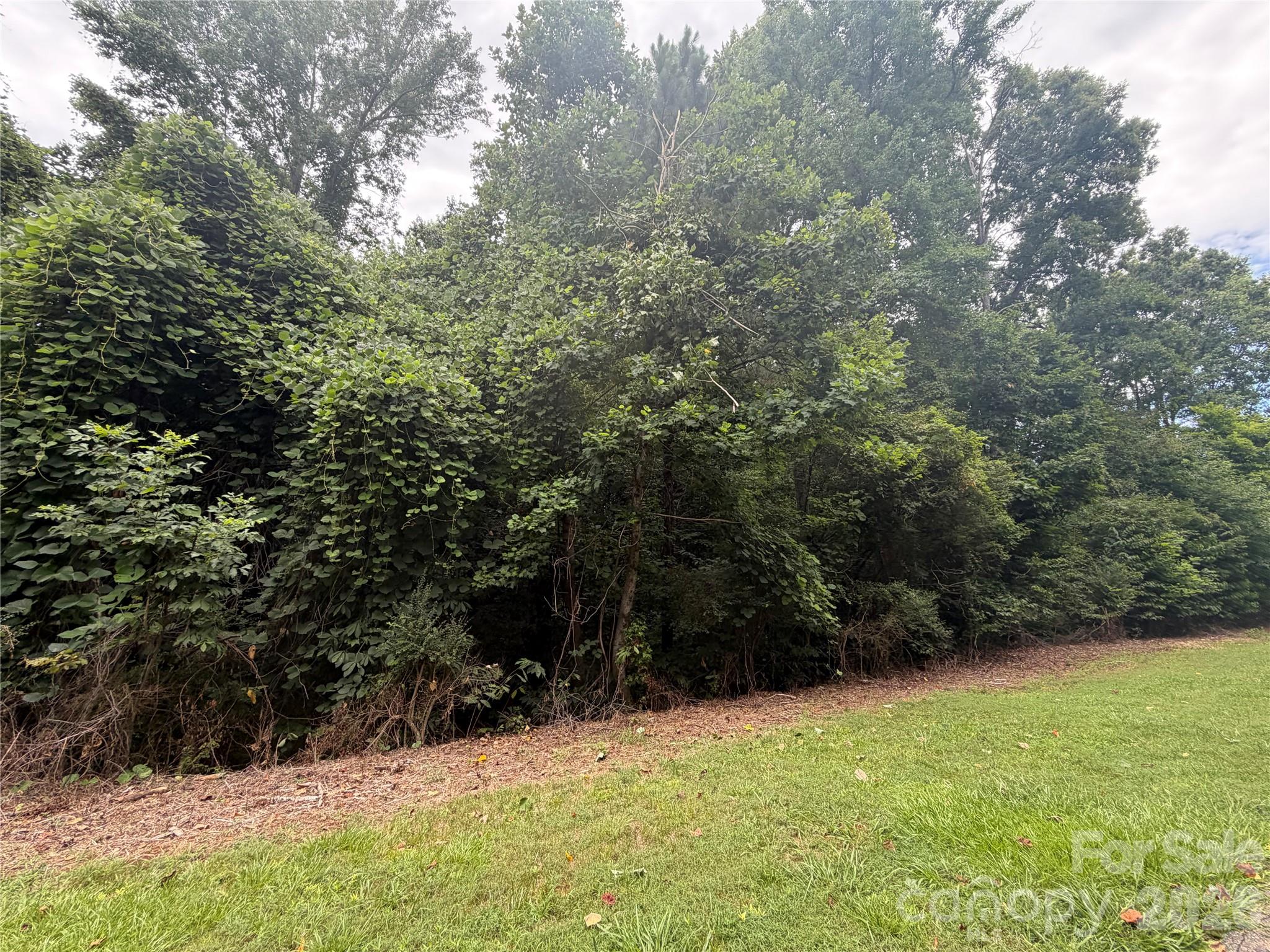 1575 Cranwell Drive, Mt Ulla, NC, 28125