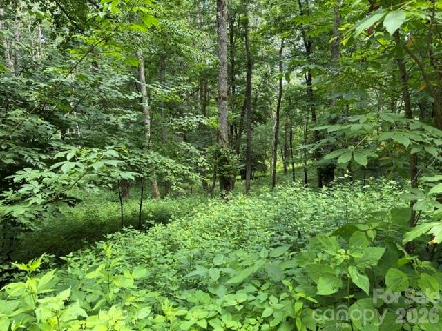 Lot 6 Gadohi Trail 6