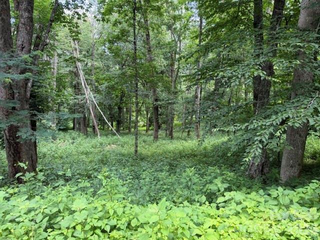 Lot 6 Gadohi Trail 6
