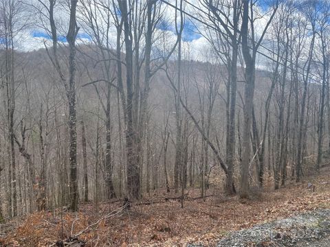 TBD Fox Den Road Mars Hill NC 28754